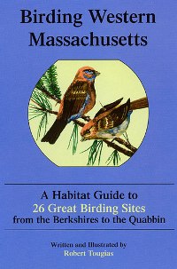 Birding Western Massachusetts